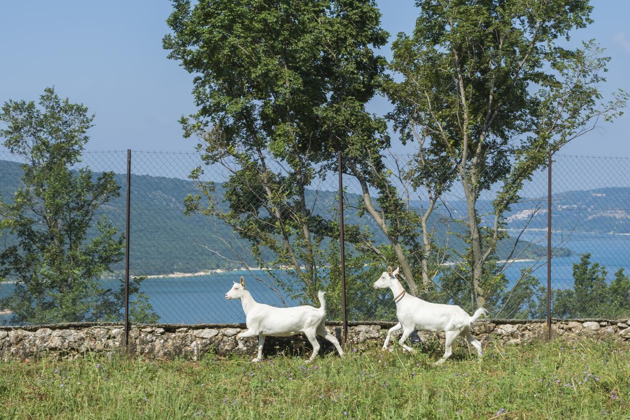 Chambre D'Hotes - Ferme De Chanteraine Aiguines Exteriör bild